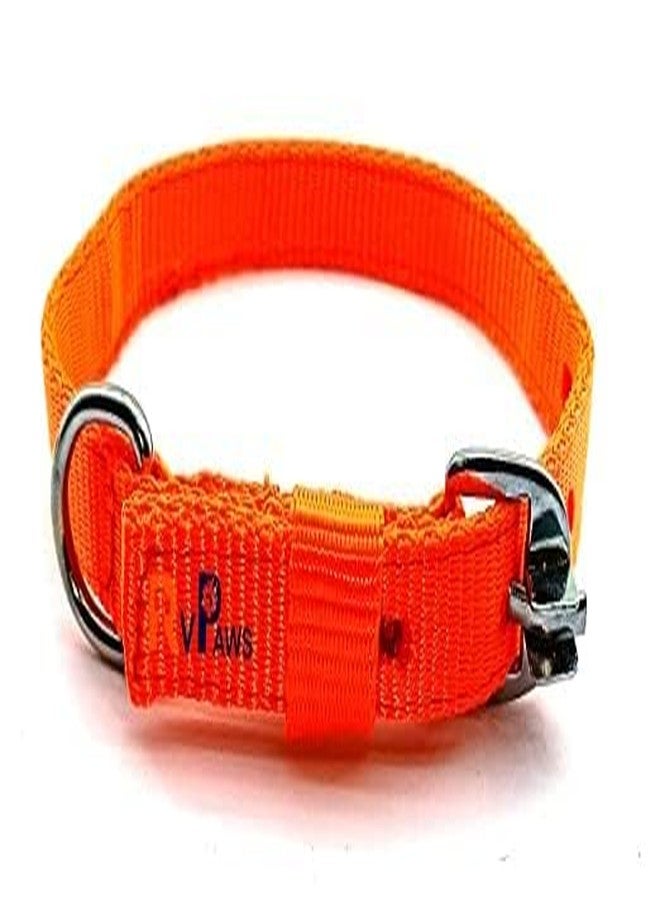 Pups&Pets طقم طوق ومقود من النايلون من Pups&Pets مقاس 22 مم، طقم طوق ومقود قابل للتعديل بشريط ناعم مقاس 0.75 بوصة، مثالي للكلاب الصغيرة والمتوسطة الحجم والجراء (برتقالي) - Image 4